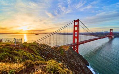 U.S. district court dismisses legal challenge to rule allowing 24-month STEM OPT extensions