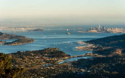 Alarming Change of Policy for Treatment of Certain Status Violations for F, J, and M Visa Holders