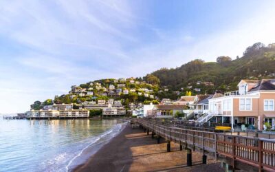 Updated USCIS Guidance on O-1 Extraordinary Ability Visa Category